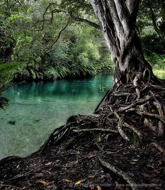 Tarawera River